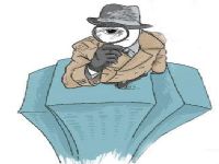 肃宁县取证公司解说第三者承担离婚赔偿责任吗